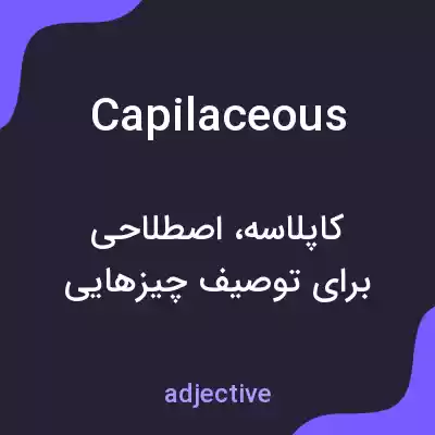 معنی capilaceous به فارسی معنی capilaceous به فارسی