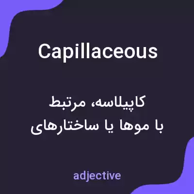 معنی capillaceous به فارسی معنی capillaceous به فارسی