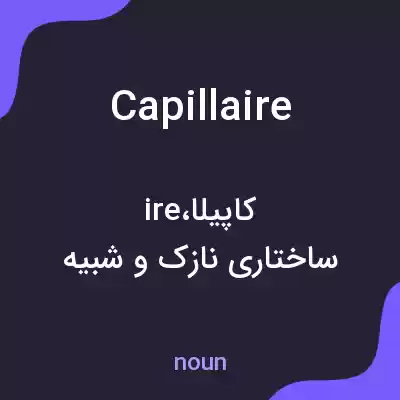 معنی capillaire به فارسی