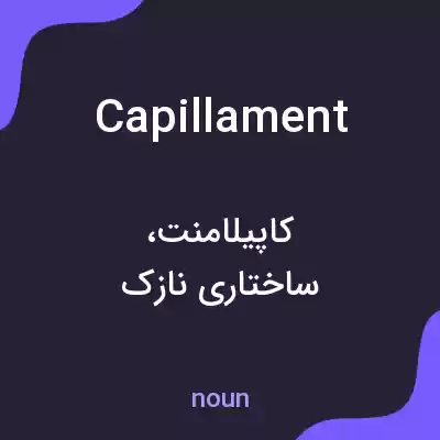 معنی capillament به فارسی معنی capillament به فارسی