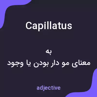 معنی capillatus به فارسی معنی capillatus به فارسی