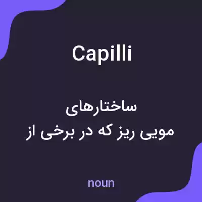 معنی capilli به فارسی معنی capilli به فارسی