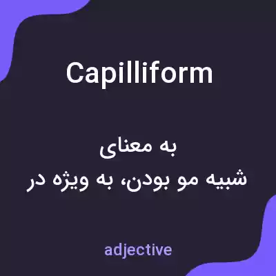 معنی capilliform به فارسی معنی capilliform به فارسی