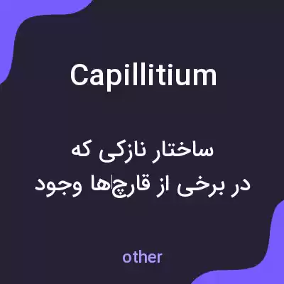 معنی capillitium به فارسی معنی capillitium به فارسی