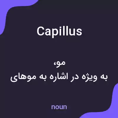 معنی capillus به فارسی معنی capillus به فارسی
