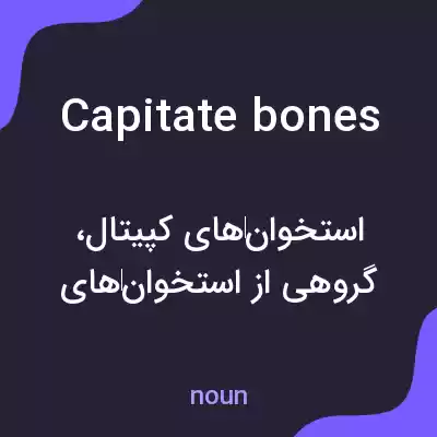 معنی capitate bones به فارسی معنی capitate bones به فارسی