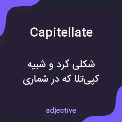 معنی capitellate به فارسی معنی capitellate به فارسی