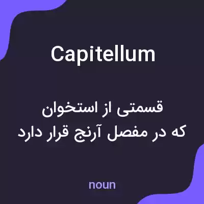 معنی capitellum به فارسی معنی capitellum به فارسی
