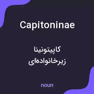 معنی capitoninae به فارسی معنی capitoninae به فارسی