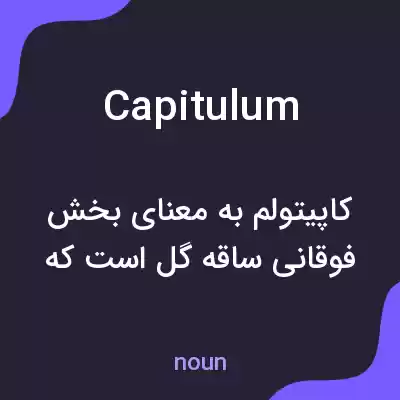 معنی capitulum به فارسی معنی capitulum به فارسی