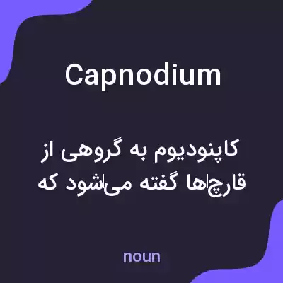 معنی capnodium به فارسی معنی capnodium به فارسی