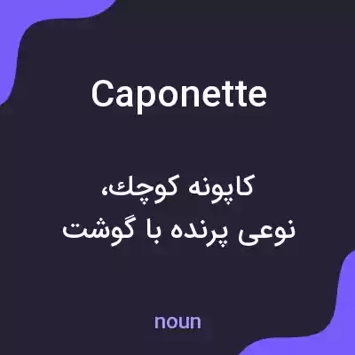 معنی caponette به فارسی معنی caponette به فارسی