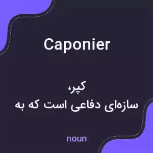 معنی caponier به فارسی معنی caponier به فارسی