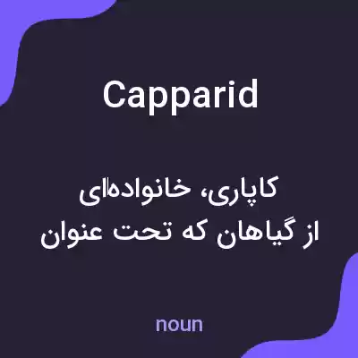 معنی capparid به فارسی معنی capparid به فارسی