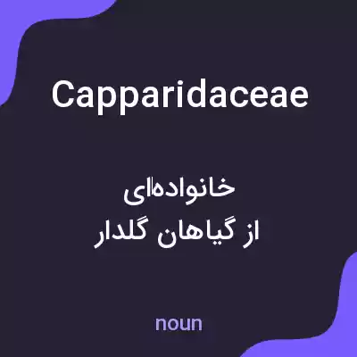معنی capparidaceae به فارسی معنی capparidaceae به فارسی