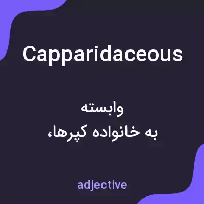 معنی capparidaceous به فارسی معنی capparidaceous به فارسی
