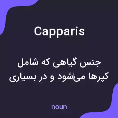 معنی capparis به فارسی معنی capparis به فارسی