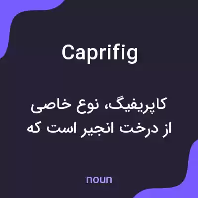 معنی caprifig به فارسی معنی caprifig به فارسی