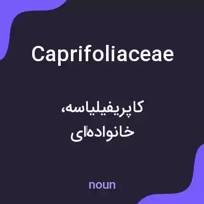 معنی caprifoliaceae به فارسی معنی caprifoliaceae به فارسی