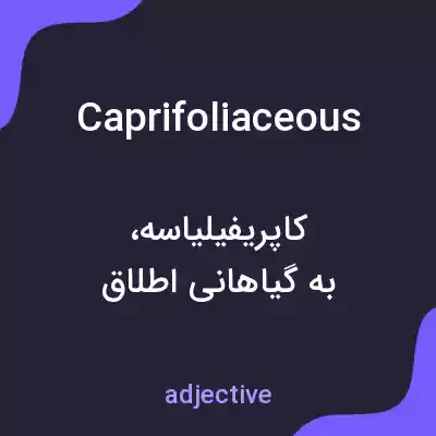 معنی caprifoliaceous به فارسی معنی caprifoliaceous به فارسی