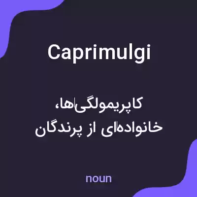 معنی caprimulgi به فارسی معنی caprimulgi به فارسی