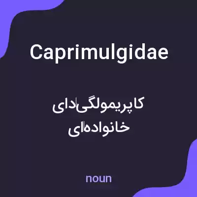 معنی caprimulgidae به فارسی معنی caprimulgidae به فارسی