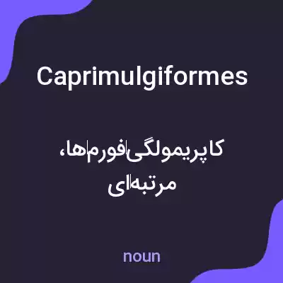 معنی caprimulgiformes به فارسی معنی caprimulgiformes به فارسی