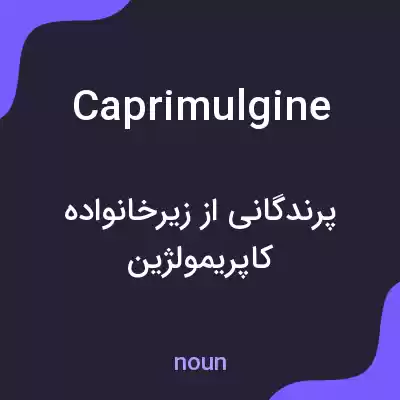معنی caprimulgine به فارسی معنی caprimulgine به فارسی