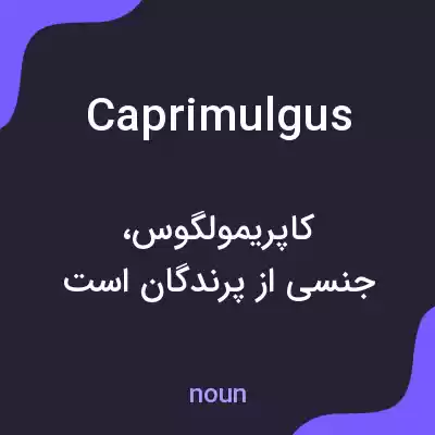 معنی caprimulgus به فارسی معنی caprimulgus به فارسی