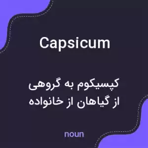 معنی capsicum به فارسی معنی capsicum به فارسی