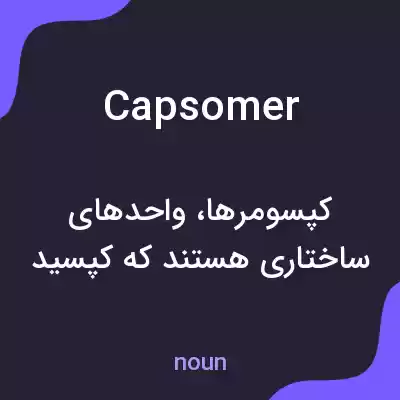معنی capsomer به فارسی معنی capsomer به فارسی