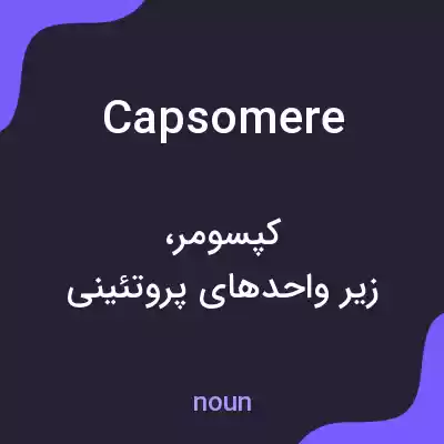 معنی capsomere به فارسی معنی capsomere به فارسی
