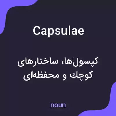 معنی capsulae به فارسی معنی capsulae به فارسی