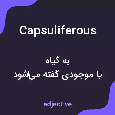 معنی capsuliferous به فارسی معنی capsuliferous به فارسی