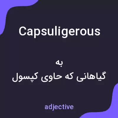 معنی capsuligerous به فارسی معنی capsuligerous به فارسی