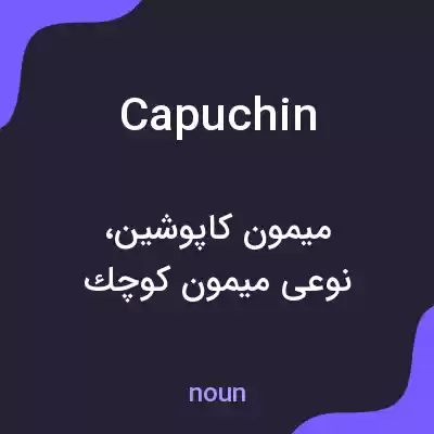 معنی capuchin به فارسی معنی capuchin به فارسی