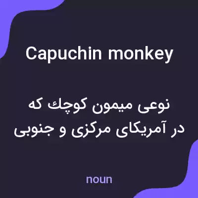 معنی capuchin monkey به فارسی معنی capuchin monkey به فارسی