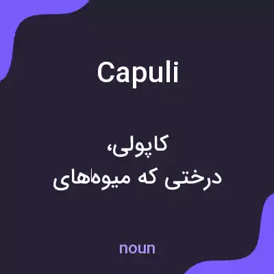 معنی capuli به فارسی معنی capuli به فارسی