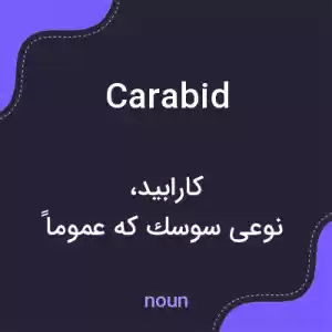 معنی carabid به فارسی معنی carabid به فارسی