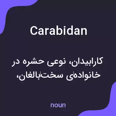 معنی carabidan به فارسی معنی carabidan به فارسی