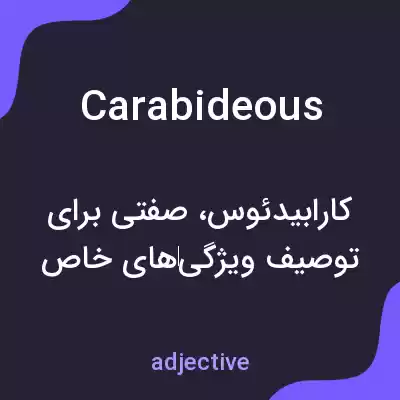 معنی carabideous به فارسی معنی carabideous به فارسی