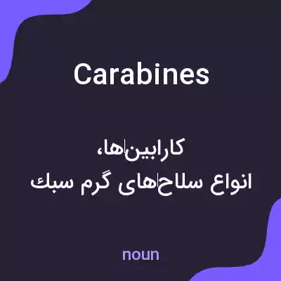 معنی carabines به فارسی معنی carabines به فارسی