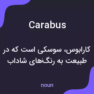 معنی carabus به فارسی معنی carabus به فارسی