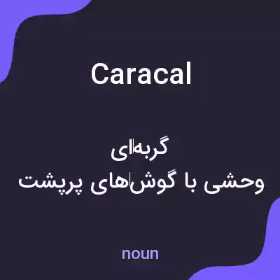 معنی caracal به فارسی معنی caracal به فارسی