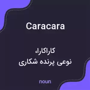 معنی caracara به فارسی معنی caracara به فارسی