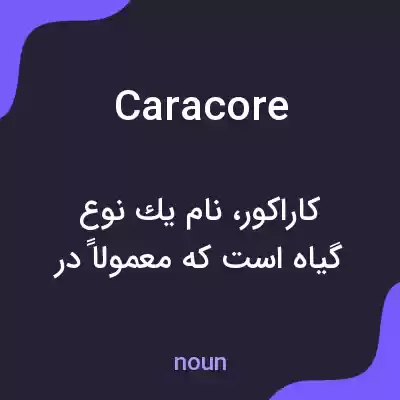 معنی caracore به فارسی معنی caracore به فارسی