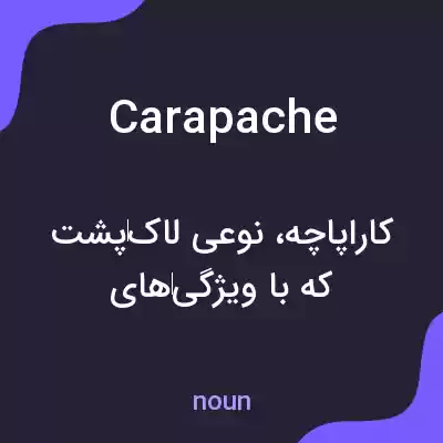 معنی carapache به فارسی معنی carapache به فارسی