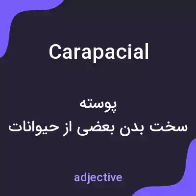 معنی carapacial به فارسی معنی carapacial به فارسی
