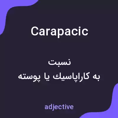 معنی carapacic به فارسی معنی carapacic به فارسی