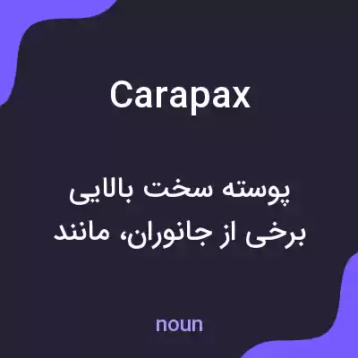 معنی carapax به فارسی معنی carapax به فارسی